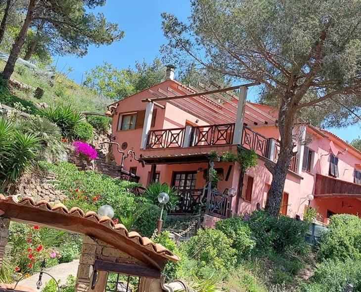 Appartamento Casa dei fichi d'India Rio dellʼElba Esterno foto