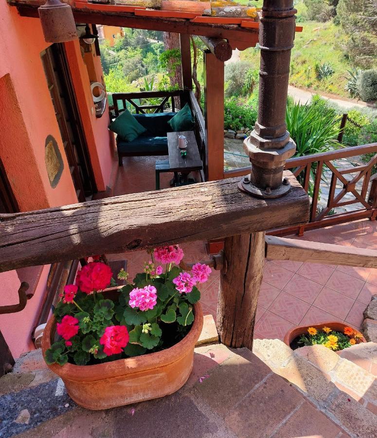 Appartamento Casa dei fichi d'India Rio dellʼElba Esterno foto