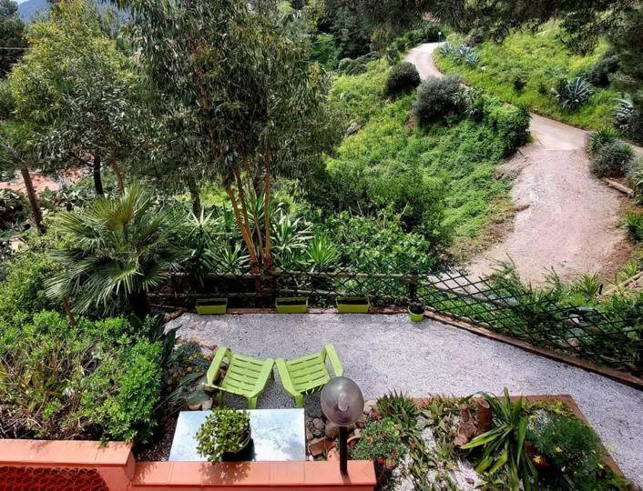 Appartamento Casa dei fichi d'India Rio dellʼElba Esterno foto